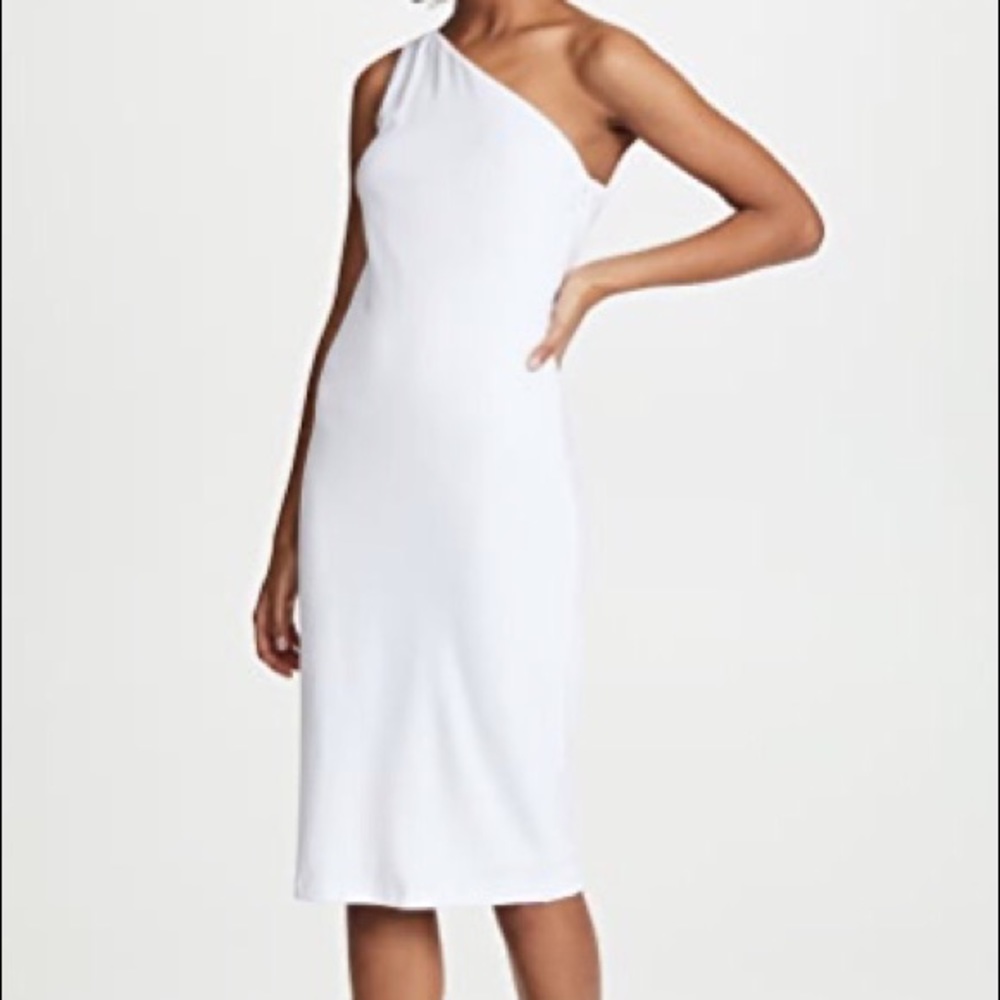 NWT Bailey44 Amped Dress